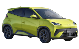 BYD Dolphin Surf (Seagull)